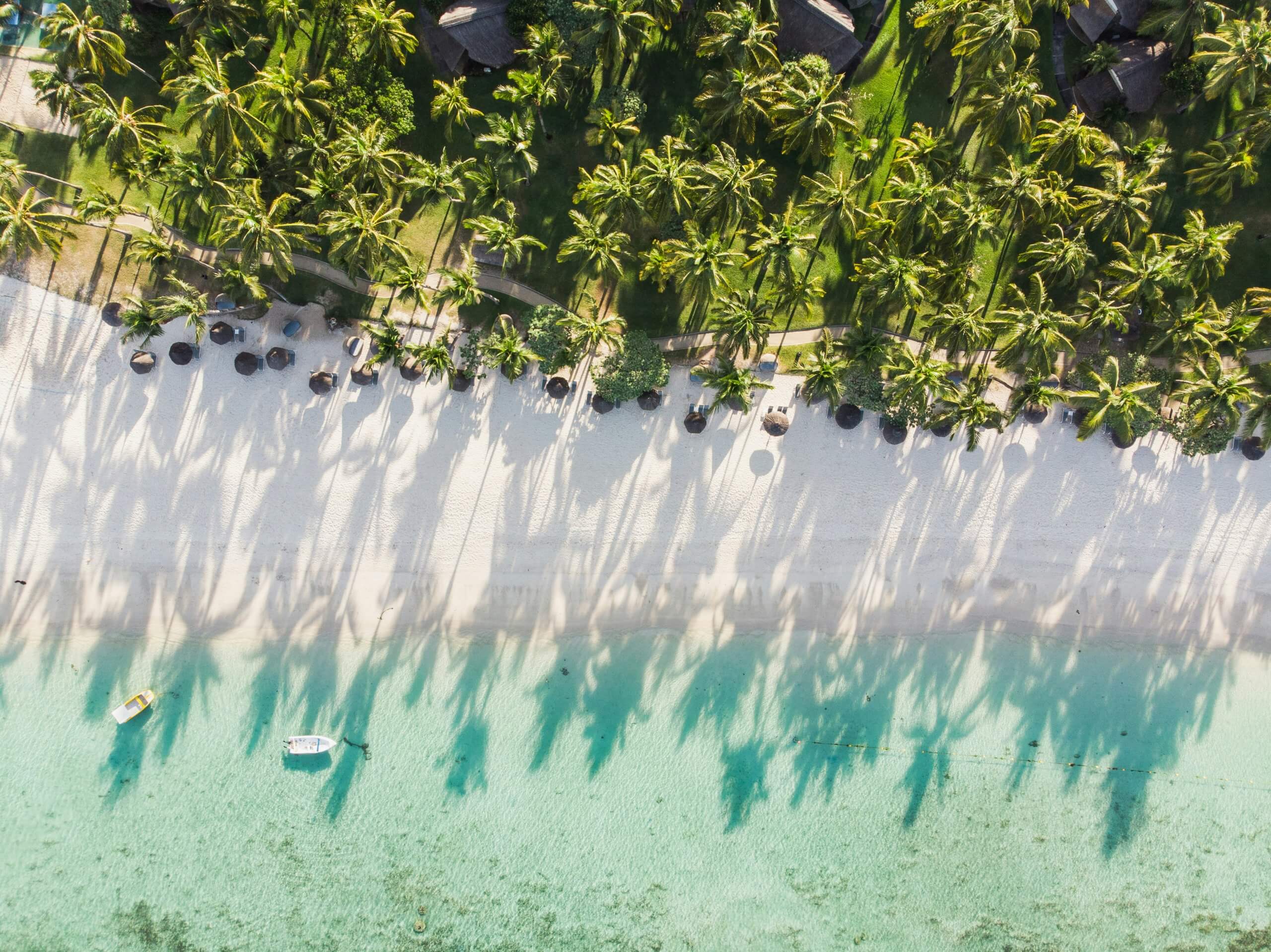 Quand partir à l'ile maurice; plage et lagon, ile maurice. Photographie de teodor-kuduschiev-
